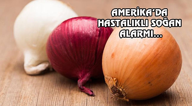 Amerika Satıştaki Soğanları Geri Topluyor