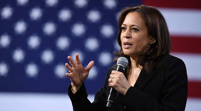 Amerikalı Türkler'in Gözüyle Kamala Harris