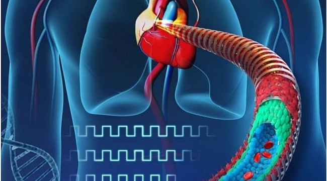 Bilim Insanları Elektronik Kan Damarı Üretti 