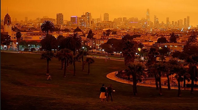 California'daki Orman Yangınlarının Ağır Bilançosu