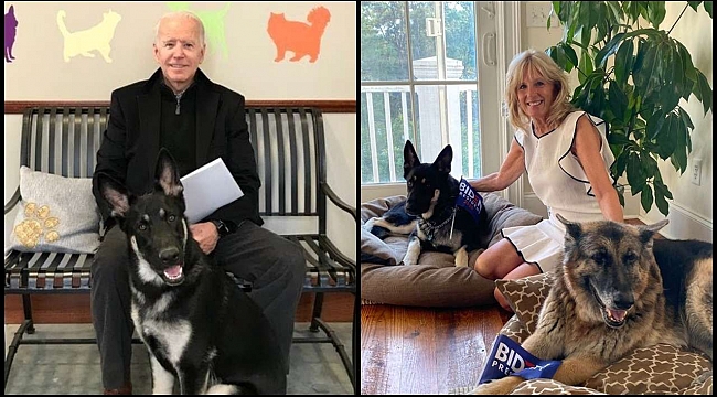 Amerika'nın Gündeminde Biden'in Köpekleri