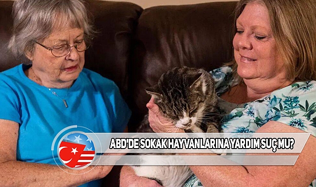 ABD'de Sokak Kedilerini Besleyen Kadınlar Ceza Aldı