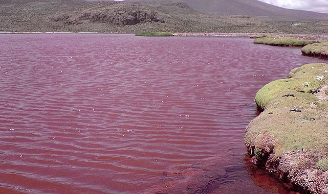 Nil Nehri kırmızı akmaya başladı: Bilim insanları konuya ilişkin açıklama yaptı