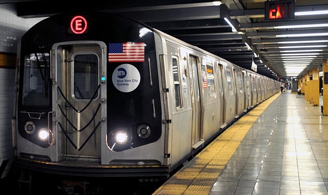 Evcil hayvan sahiplerinden metro kurallarına ilginç tepki 