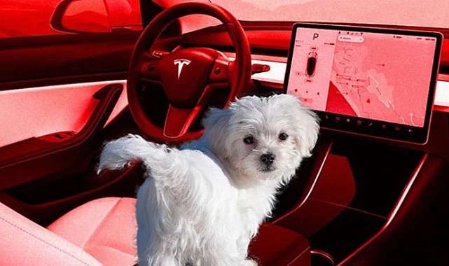 Tesla aracında yalnız bırakılan köpek, Paterson'da duygusal anlar yaşattı