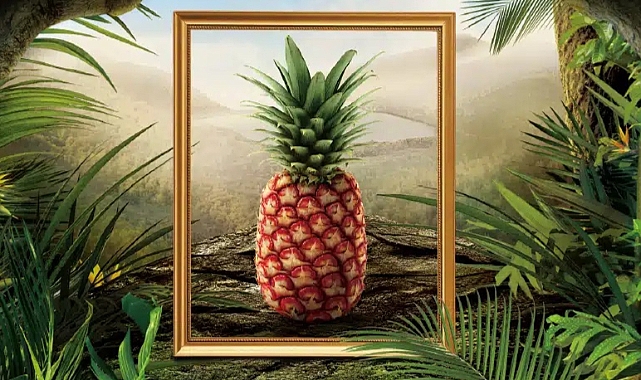 400 Dolar Değerindeki Ananas ABD'de Yok Satıyor!