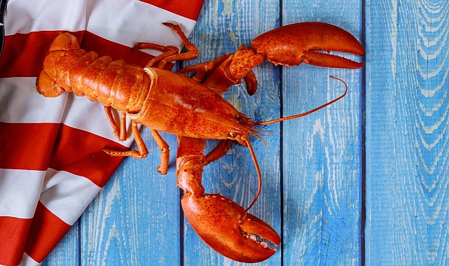 ABD'nin Ünlü Deniz Ürünleri Zinciri Red Lobster, 1 Milyar Dolar Borçla İflas Etti!