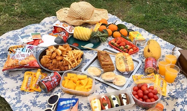 Pir Sultan Abdal Cultural Associates USA'dan Yeni Yönetimle Yaz Pikniği!
