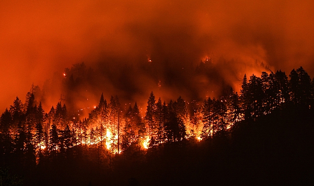 139 Bin Dönüm Küle Döndü California Yanıyor!