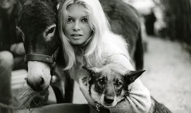 Brigitte Bardot'tan Erdoğan'a Mektup