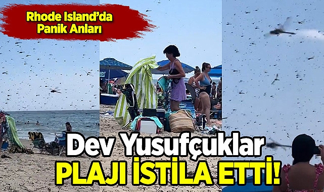 Dev Yusufçuk Sürüsü Rhode Island Plajını İstila Etti