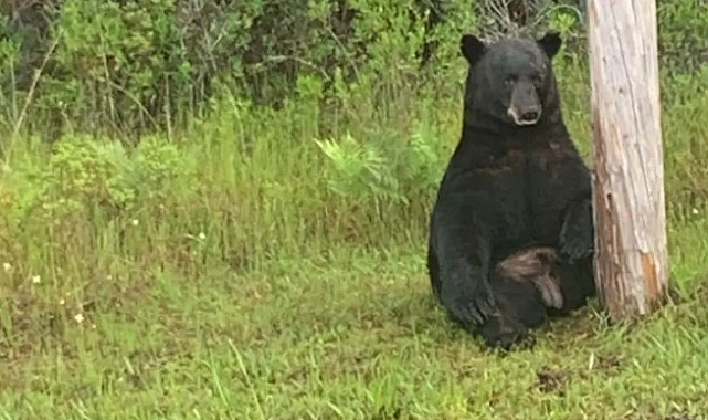 Florida'da Yaşayanlar Dikkatt! Polis Uyardı!