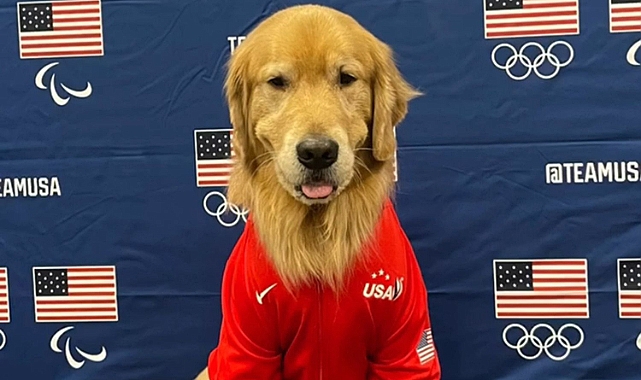 ABD'li Sporcuların Olimpiyat Kahramanı: Terapi Köpeği 'Beacon'