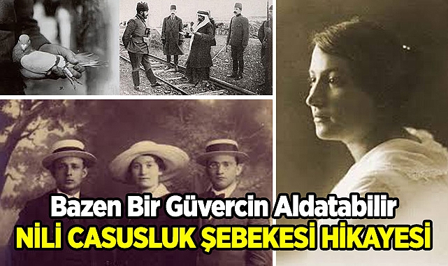 Bazen Bir Güvercin Aldatabilir