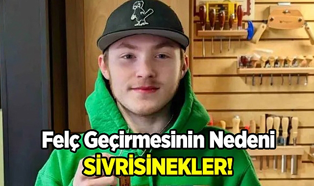 Felç Geçirmesinin Nedeni Sivrisinekler