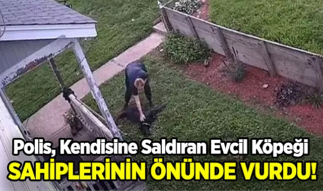 Polis, Kendisine Saldıran Köpeği Sahiplerinin Gözü Önünde Vurdu!