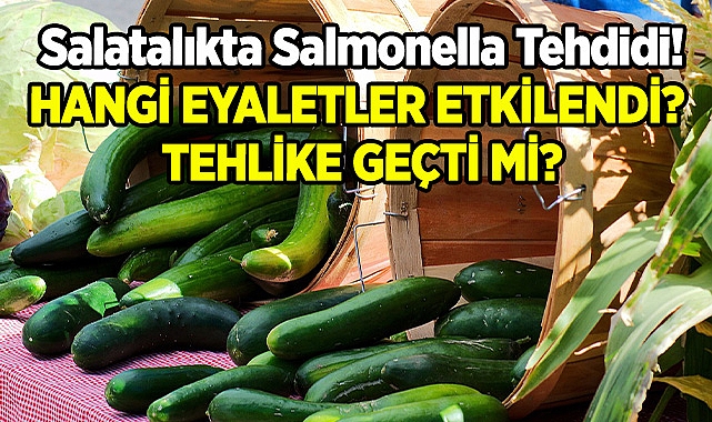 Salatalıktan Yayılan Salmonella Salgınında Tehlike Geçti mi?