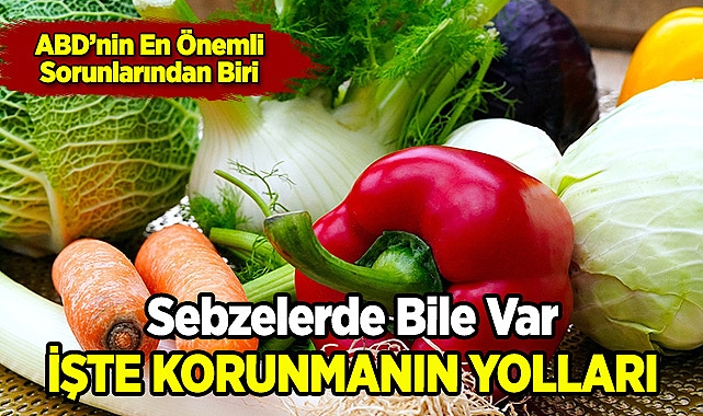 Sebzelerde Bile Var! İşte Korunmanın Yolları!