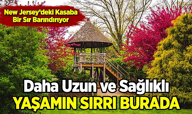 Uzun Yaşamanın Sırrı Bu Kasabada