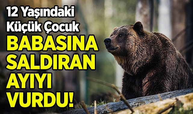 12 Yaşındaki Çocuk, Babasına Saldıran Ayıyı Vurdu!