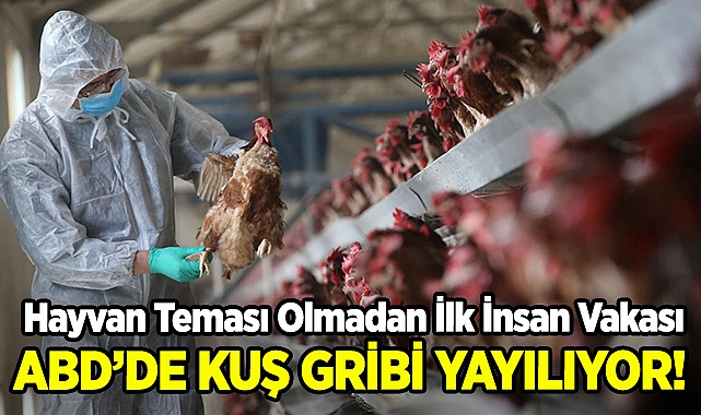 ABD'de Hayvan Teması Olmadan Kuş Gribi Vakası Tespit Edildi!