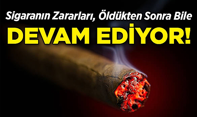 Sigaranın Zararları Öldükten Sonra Bile Devam Ediyor!