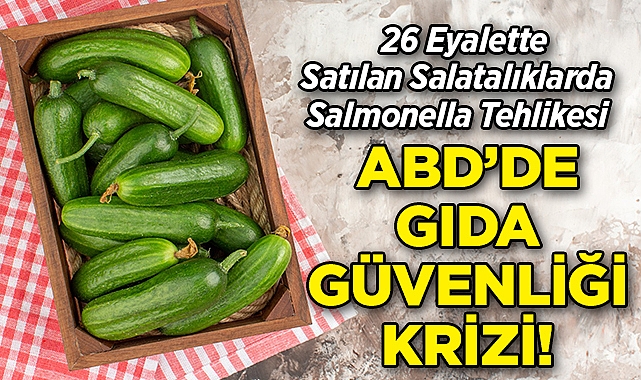 ABD'nin 26 Eyaletinde Satılan Salatalıklarda Salmonella Bakterisi Tespit Edildi!