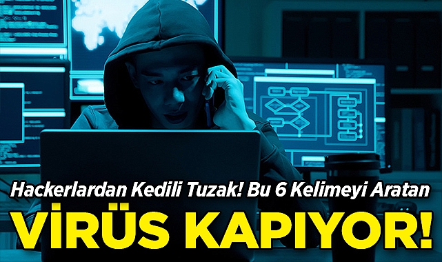 Hackerlardan Kedili Tuzak! Bu Altı Kelimeyi Aratan Virüs Kapıyor!