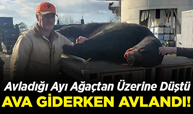 Avladığı Ayı, Ağaçtan Üzerine Düştü: 58 Yaşındaki Adam Hayatını Kaybetti